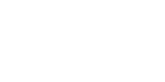 Антидощ на Ford